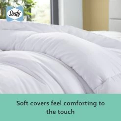 Sealy Anti Allergy Hollowfibre 10.5Tog Duvet - Single -Home Furnishings Store 1156623 R Z006A