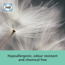 Sealy Anti Allergy Hollowfibre Mattress Topper - Double -Home Furnishings Store 1156702 R Z007A