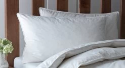 Habitat Anti-Allergy Medium Pillow - 2 Pack -Home Furnishings Store 2007867 R Z002A