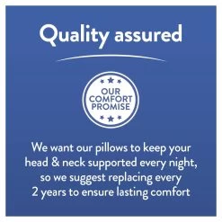 Slumberdown Cool Max Memory Support Firm Pillow -Home Furnishings Store 4539481 R Z010A