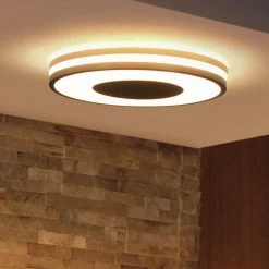 Philips Hue Being Flush To Ceiling Light - Black