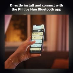 Philips Hue Being Flush To Ceiling Light - Black -Home Furnishings Store 9455106 R Z007A